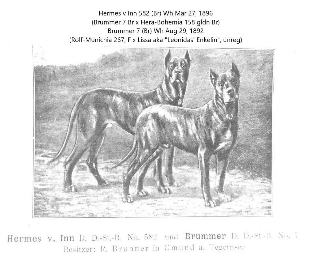 Hermes v Inn and Brummer